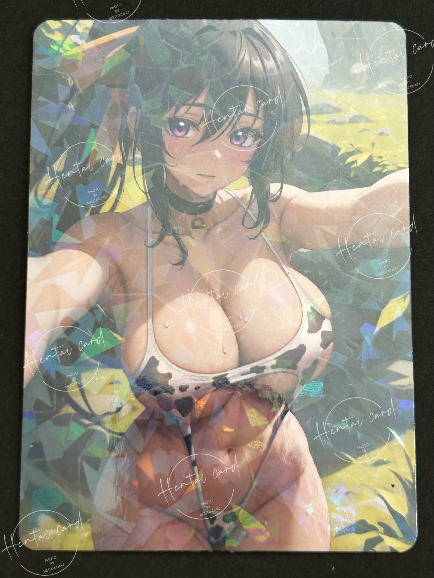 high school dxd Card 9pcs(NFSW-01)