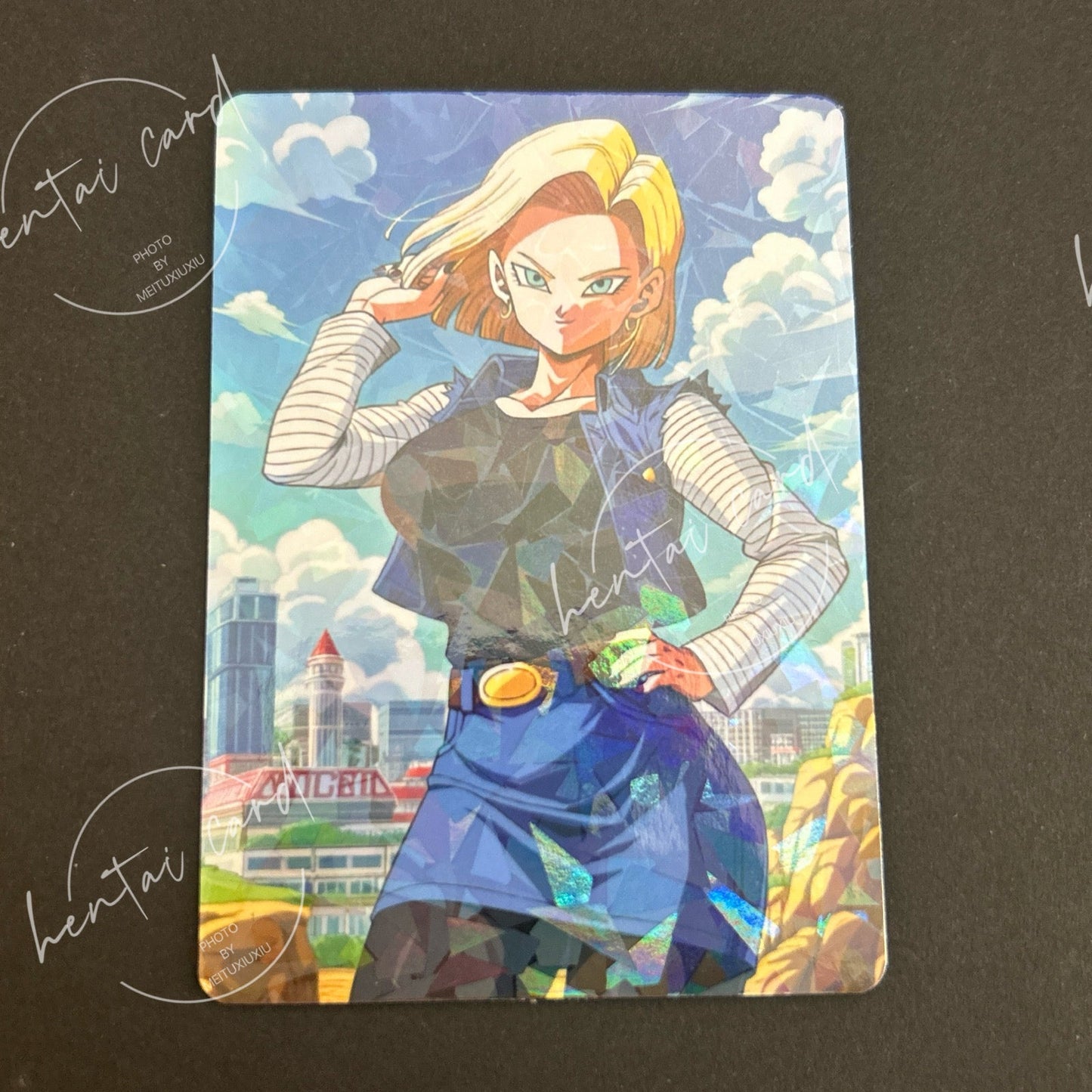 Dragon Ball Hentai Sexy Anime Card LOT4 (LZ-14)