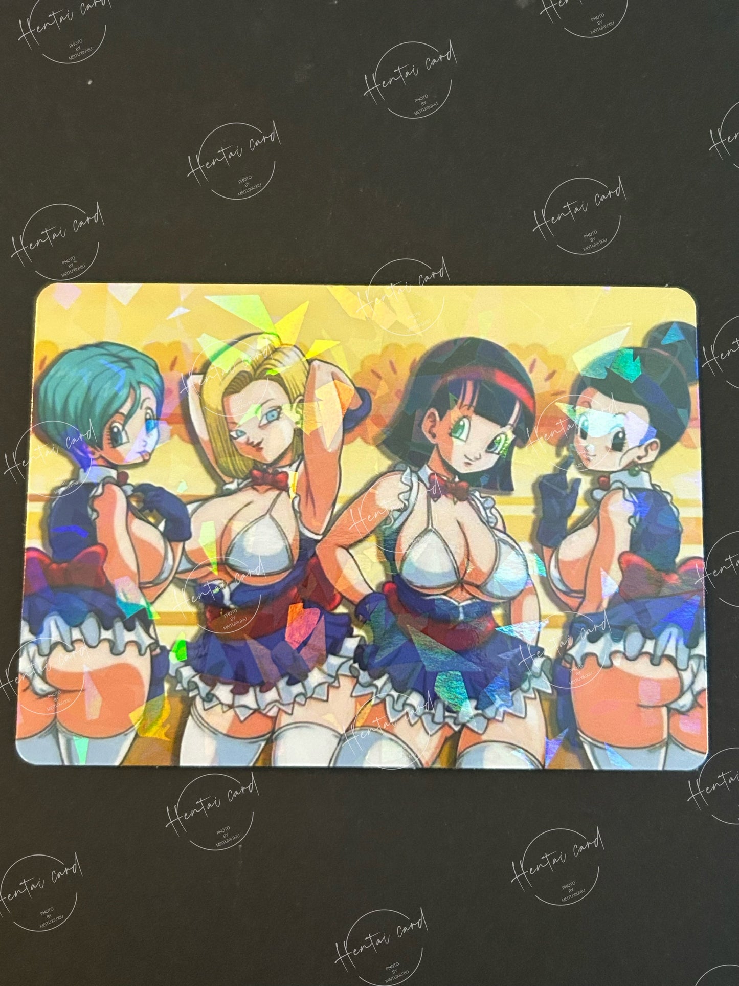 Dragon Ball Hentai Sexy Anime Card LOT 9 (LZ04)