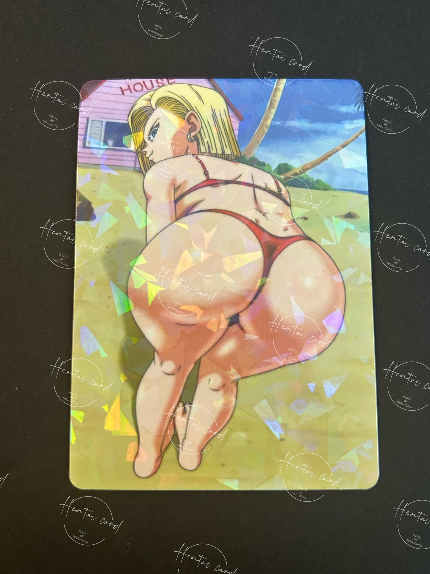 Dragon Ball Hentai Sexy Anime Card LOT 9 (LZ03)