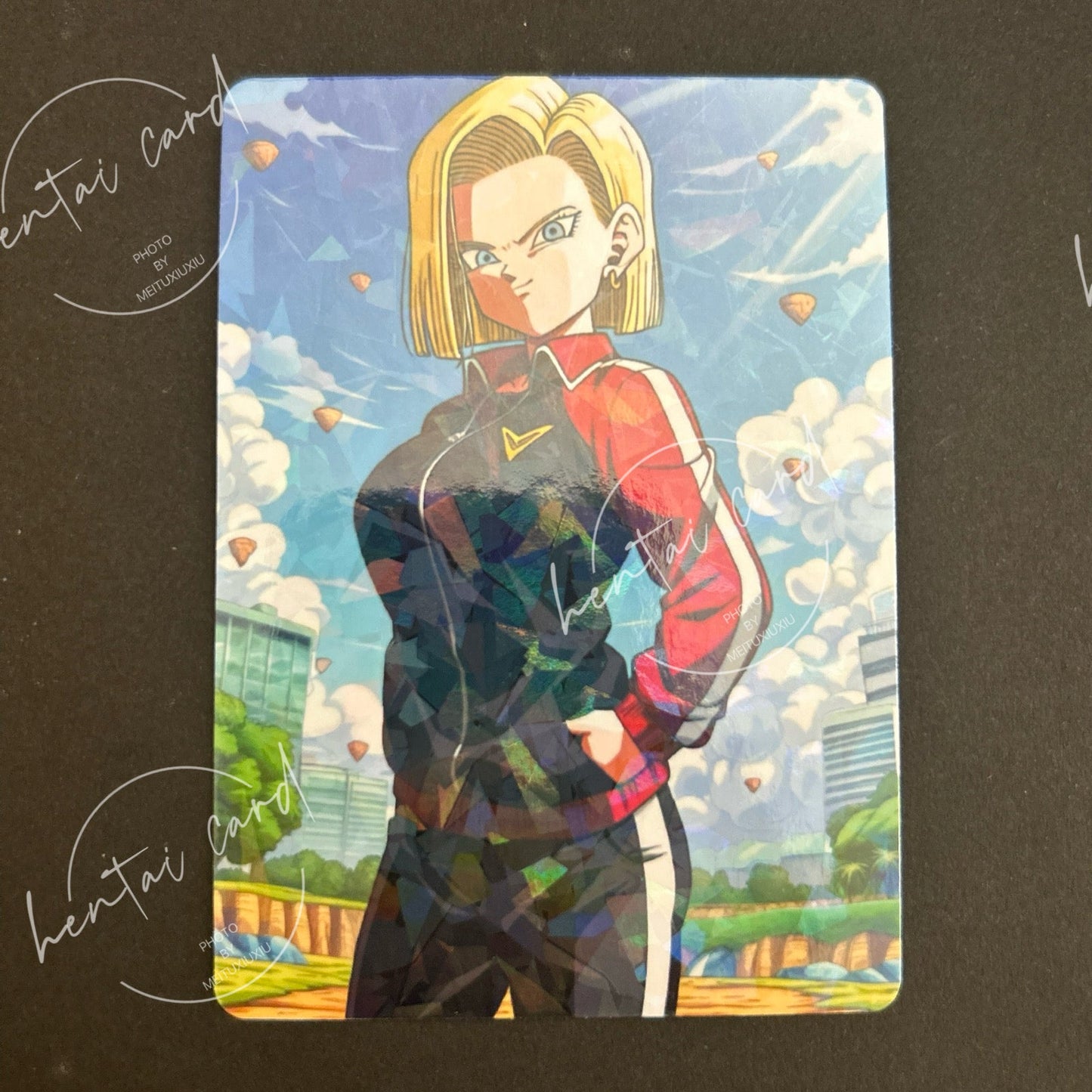 Dragon Ball Hentai Sexy Anime Card LOT4 (LZ-14)