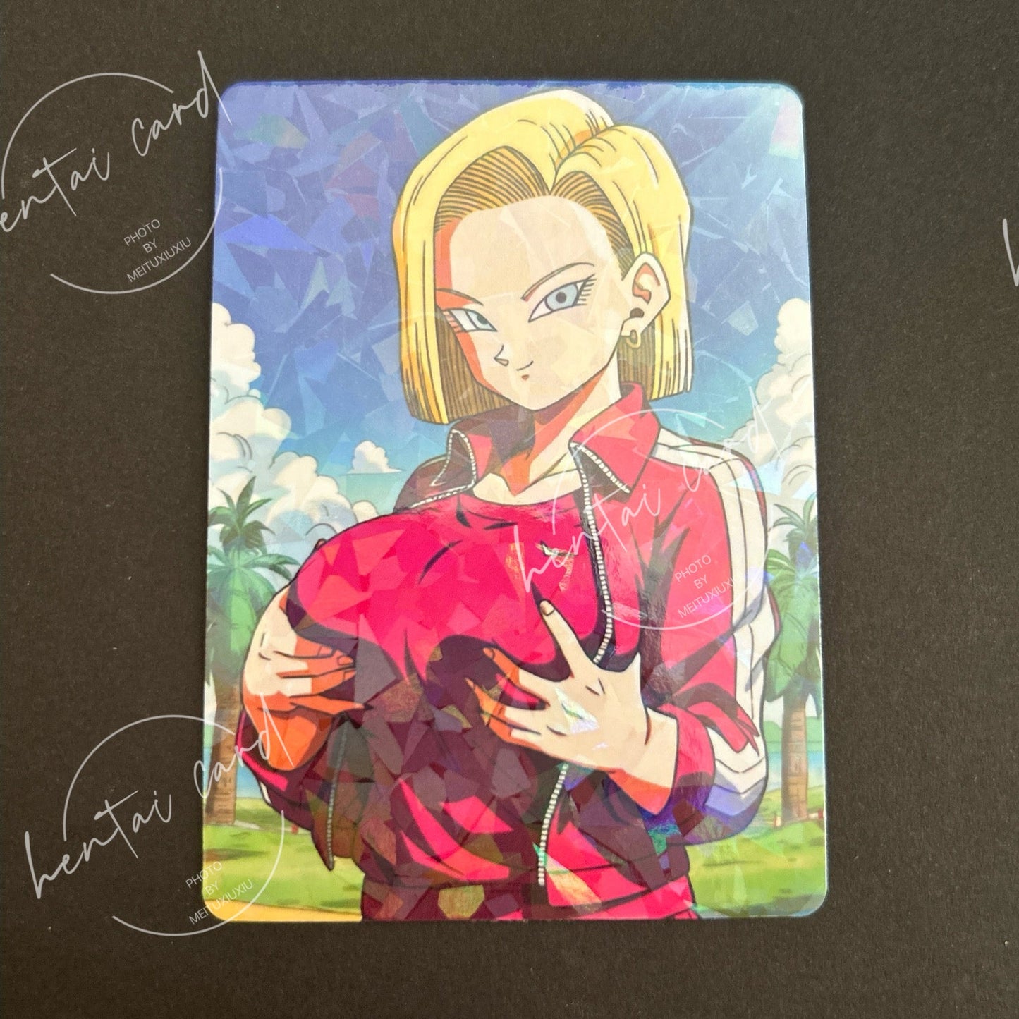 Dragon Ball Hentai Sexy Anime Card LOT4 (LZ-14)