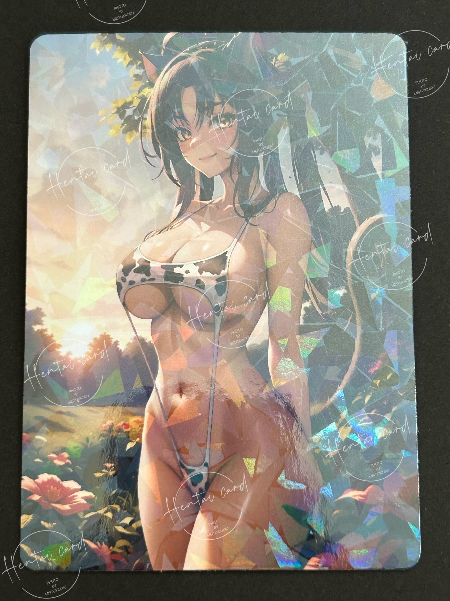high school dxd Card 9pcs(NFSW-01)