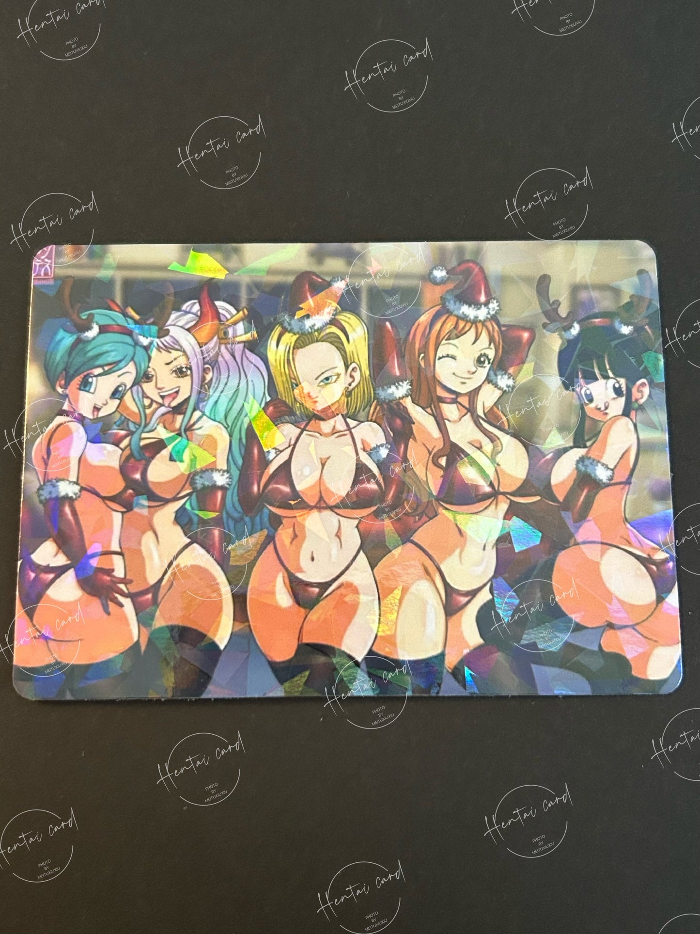 Dragon Ball Hentai Sexy Anime Card LOT 9 （LZ04）