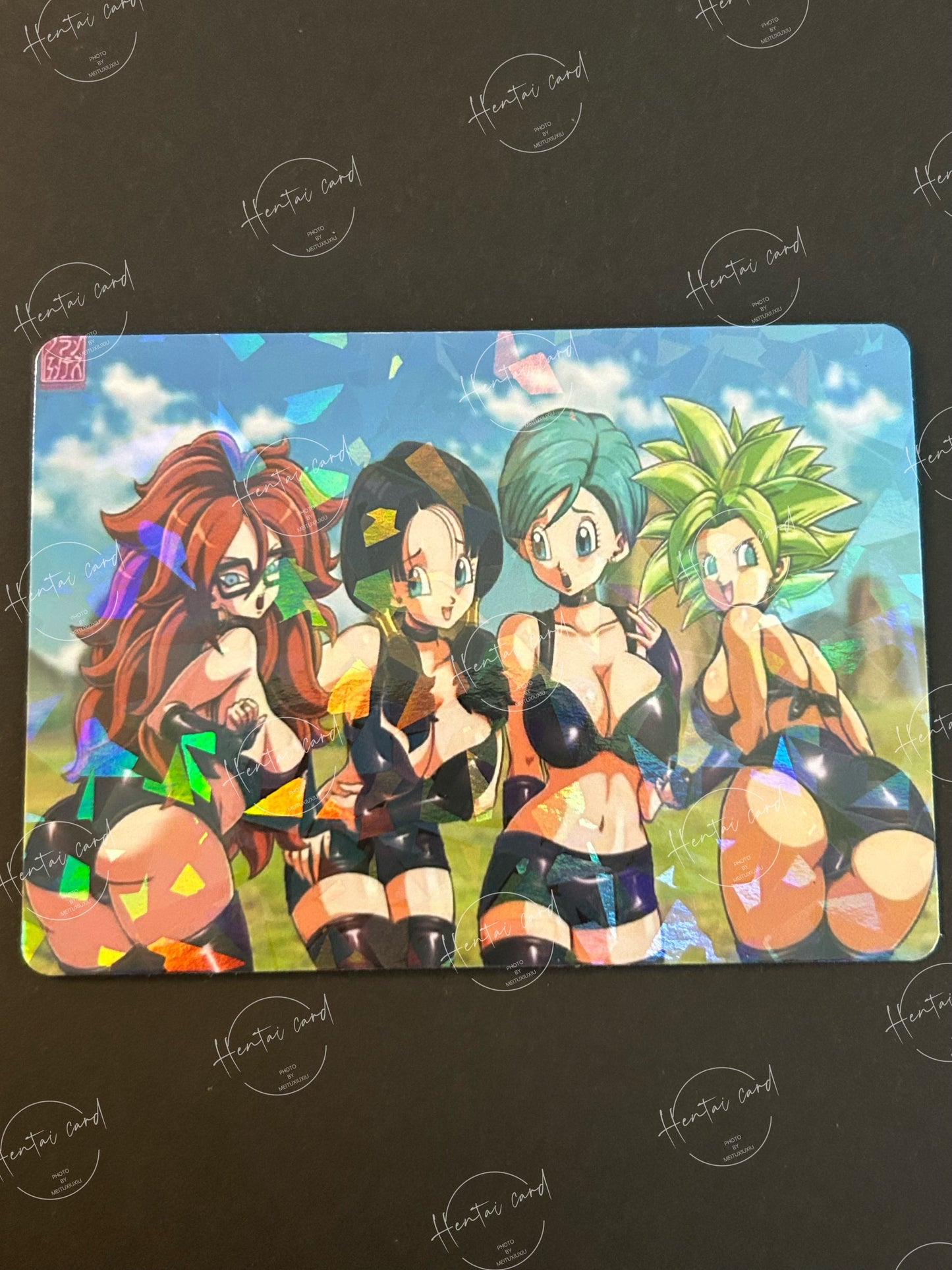 Dragon Ball Hentai Sexy Anime Card LOT 9 （LZ04）