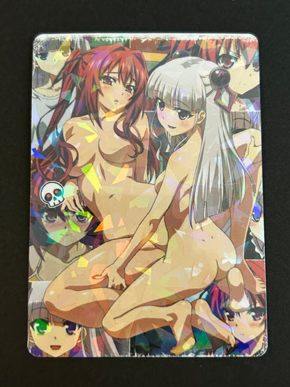 The Testament of Sister New Devil Hentai Sexy Waifu Anime Doujin Card 9pcs（XM-01）